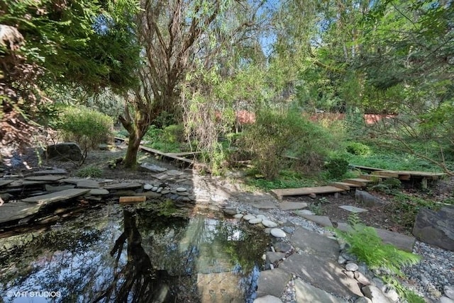 view of nature