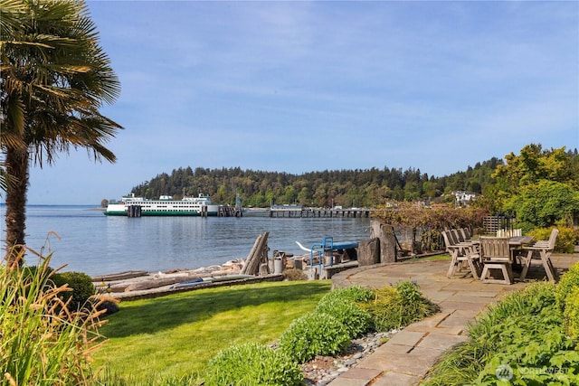 9325 Fauntleroy Way SW, Seattle, WA 98136 - dock area featuring a yard, a water view, a wooded view, and a patio area