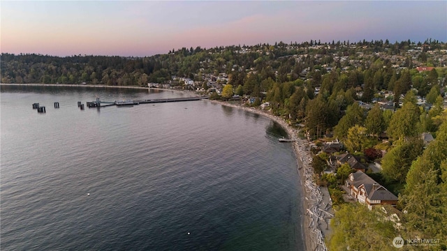 9325 Fauntleroy Way SW, Seattle, WA 98136 - birds eye view of property featuring a water view and a forest view
