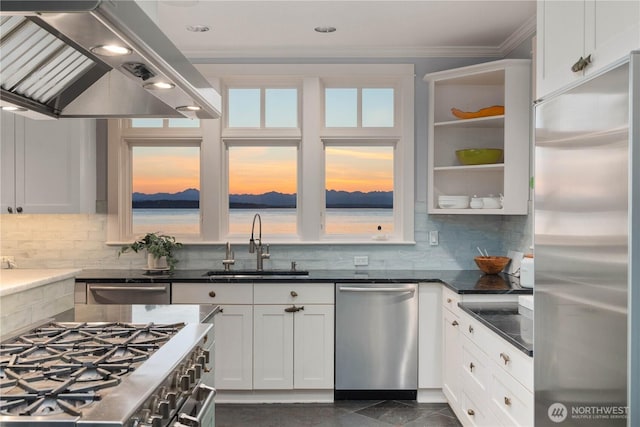9325 Fauntleroy Way SW, Seattle, WA 98136 - kitchen featuring high quality appliances, a sink, white cabinets, ornamental molding, and extractor fan