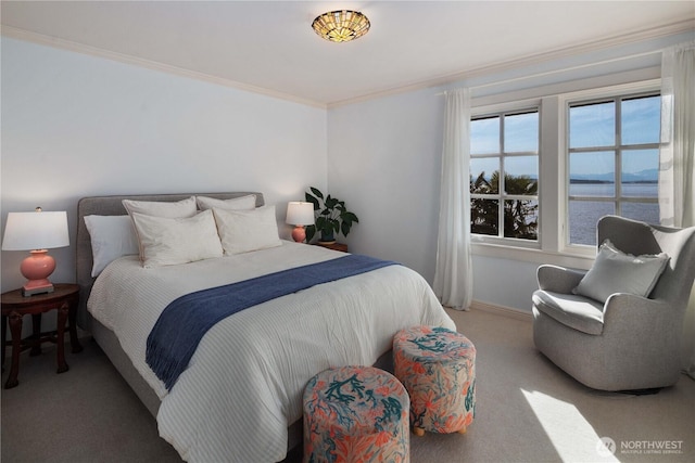 9325 Fauntleroy Way SW, Seattle, WA 98136 - bedroom featuring carpet floors, crown molding, baseboards, and a water view