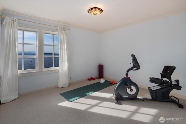 9325 Fauntleroy Way SW, Seattle, WA 98136 - exercise room with carpet floors, ornamental molding, and baseboards
