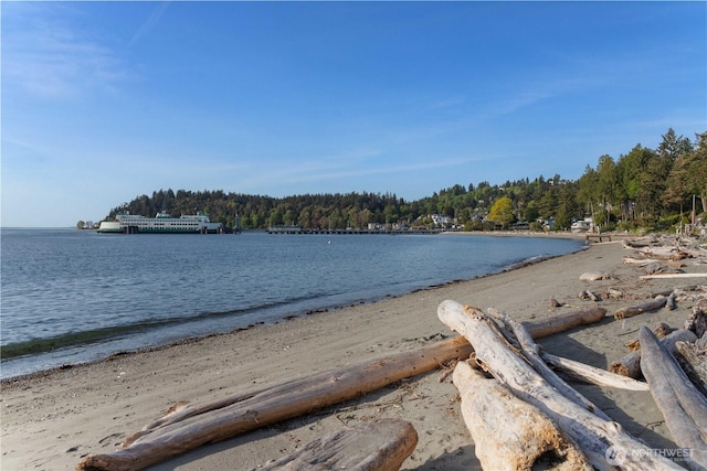 9325 Fauntleroy Way SW, Seattle, WA 98136 - view of water feature featuring a view of trees
