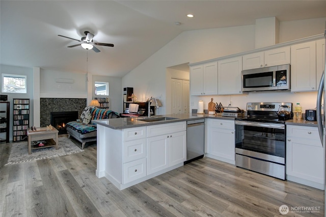 kitchen with a lit fireplace, a sink, a peninsula, lofted ceiling, and stainless steel appliances