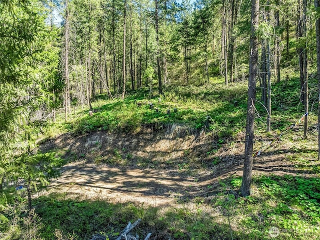 8325 Taber Rd, Cashmere, WA 98815