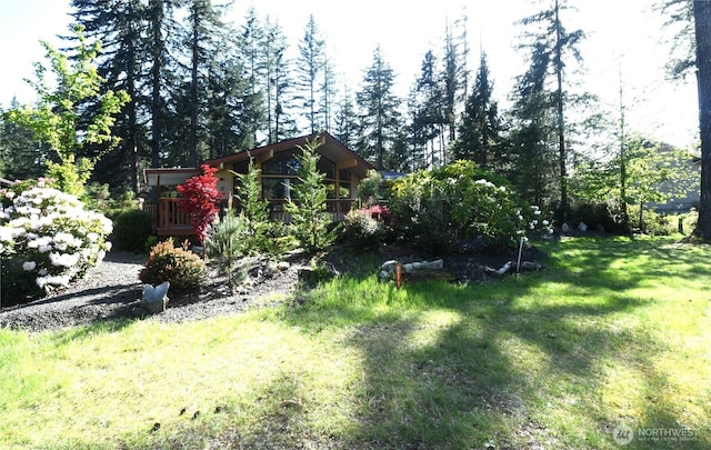 view of yard with a deck