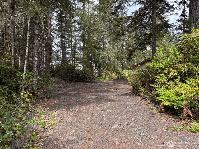 971 E Manzanita Dr, Union, WA 98592 - view of road featuring a wooded view
