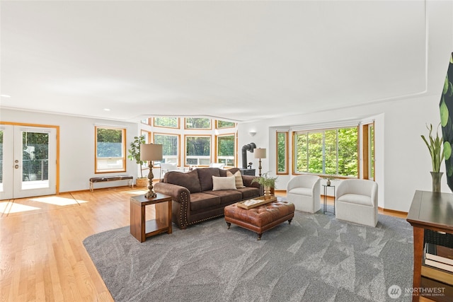 living room featuring french doors, wood finished floors, and a wealth of natural light
