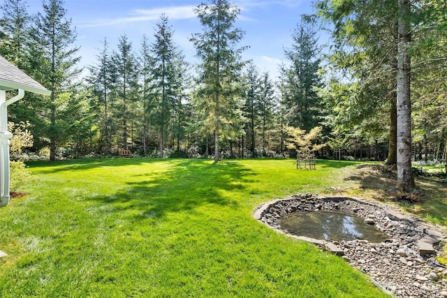 view of yard