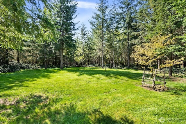 view of yard featuring a view of trees