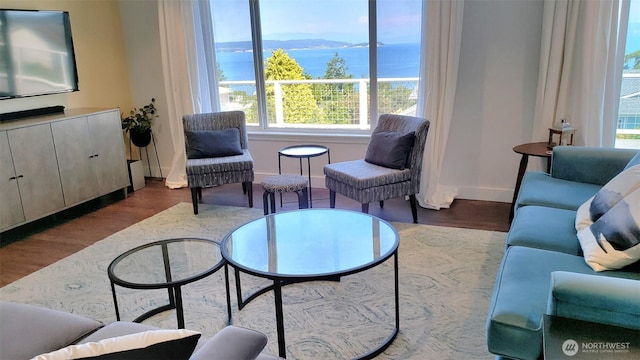 living area with a water view, baseboards, plenty of natural light, and wood finished floors