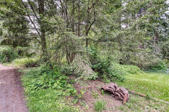 3214 77th Ave NW, Gig Harbor, WA 98335 - photo 8
