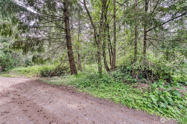 3214 77th Ave NW, Gig Harbor, WA 98335 - photo 9