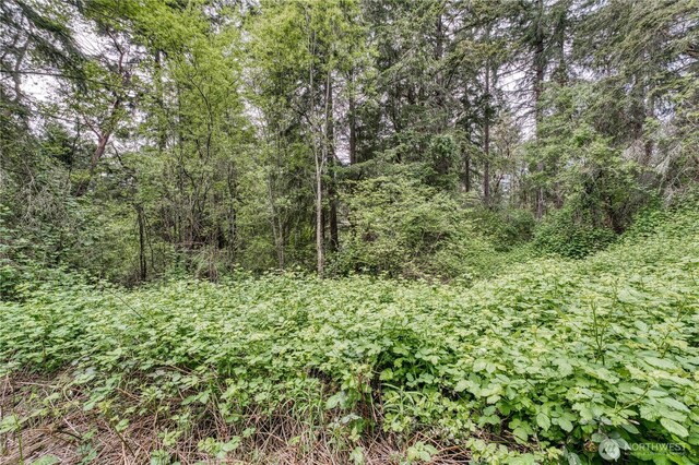 3214 77th Ave NW, Gig Harbor, WA 98335 - photo 10