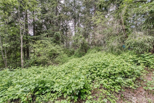 3214 77th Ave NW, Gig Harbor, WA 98335 - photo 11