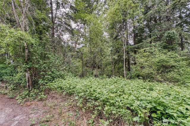 3214 77th Ave NW, Gig Harbor, WA 98335 - photo 12