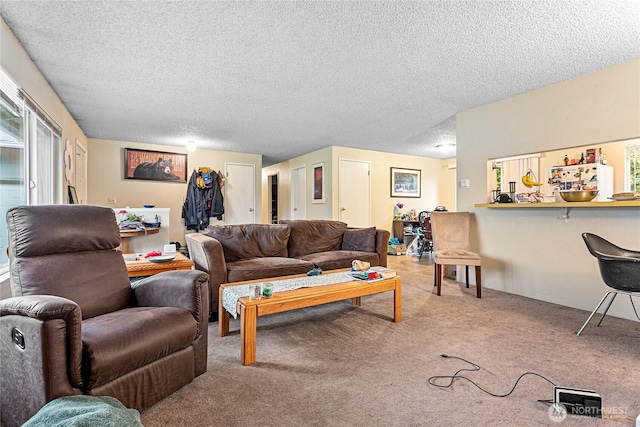 living area with carpet flooring and a textured ceiling
