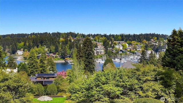 drone / aerial view with a water view and a view of trees