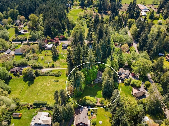 bird's eye view