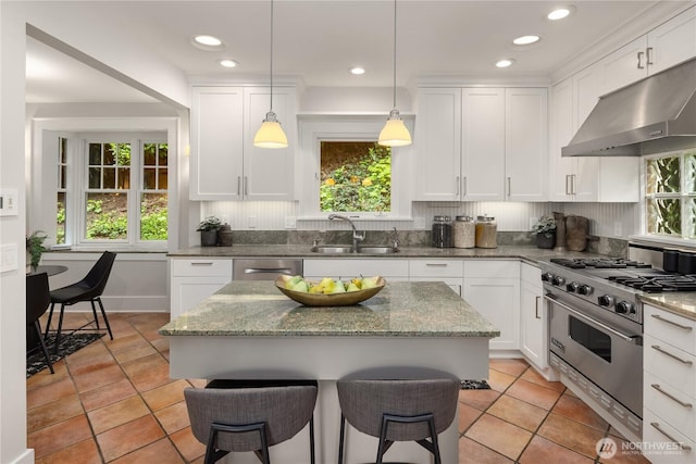 kitchen featuring under cabinet range hood, appliances with stainless steel finishes, a wealth of natural light, and a sink