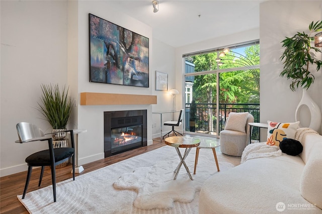 521 7th Ave Unit 204, Kirkland, WA 98033 - living area featuring baseboards, wood finished floors, and a glass covered fireplace