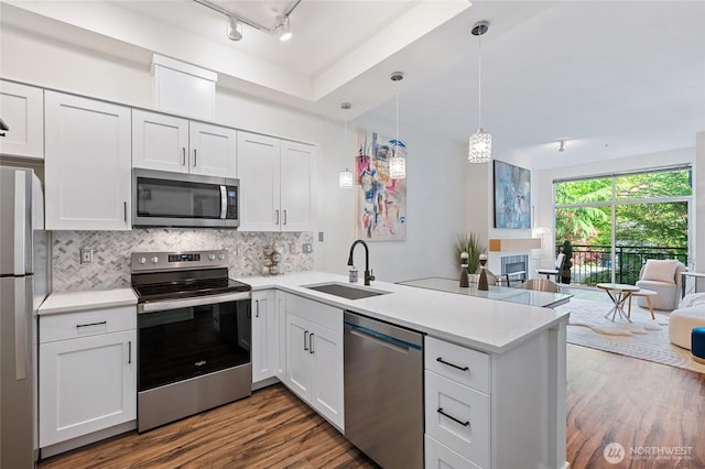 521 7th Ave Unit 204, Kirkland, WA 98033 - kitchen with appliances with stainless steel finishes, a sink, a peninsula, open floor plan, and dark wood-style floors