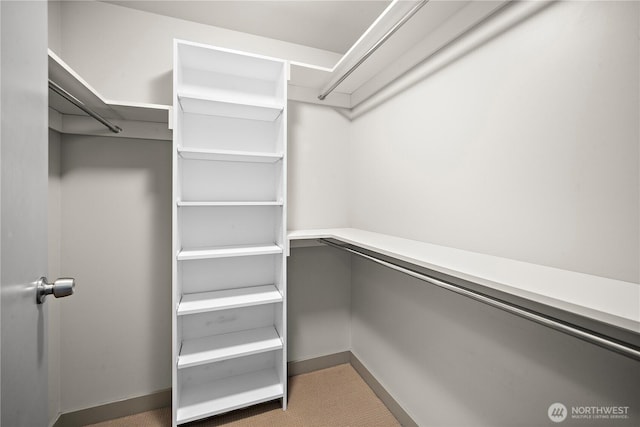 10610 NE 9th Pl Unit G403, Bellevue, WA 98004 - view of spacious closet
