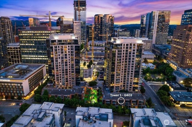 10610 NE 9th Pl Unit G403, Bellevue, WA 98004 - city view
