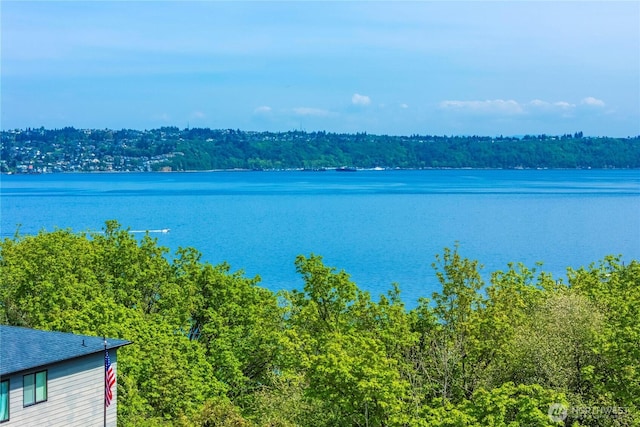 3315 N 35th St, Tacoma, WA 98407 - water view