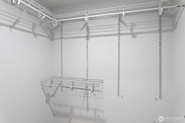 view of walk in closet