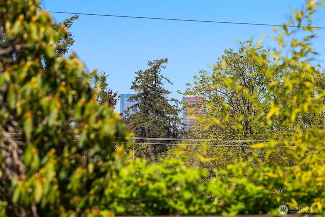 9750 SE 41st St, Mercer Island, WA 98040 - view of yard