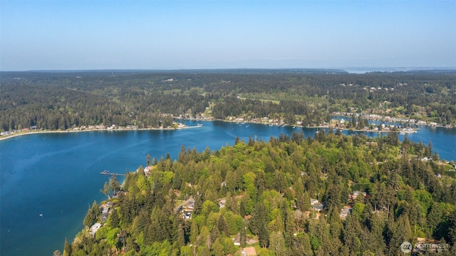 220 Raft Island Dr NW, Gig Harbor, WA 98335 - photo 35