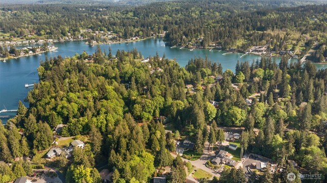 220 Raft Island Dr NW, Gig Harbor, WA 98335 - photo 36