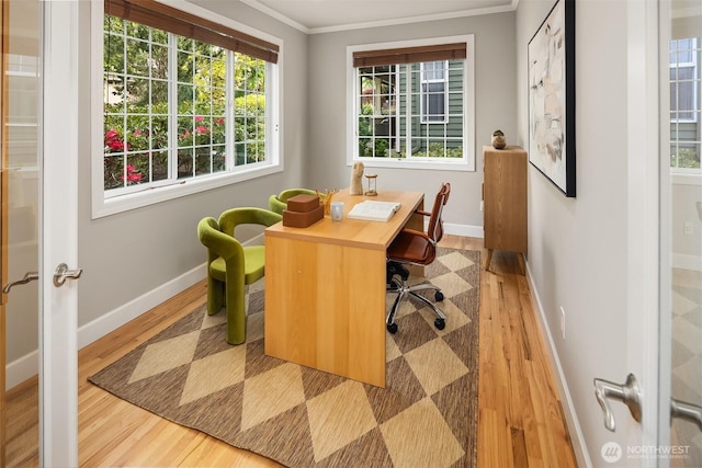 office with wood finished floors, ornamental molding, plenty of natural light, and baseboards