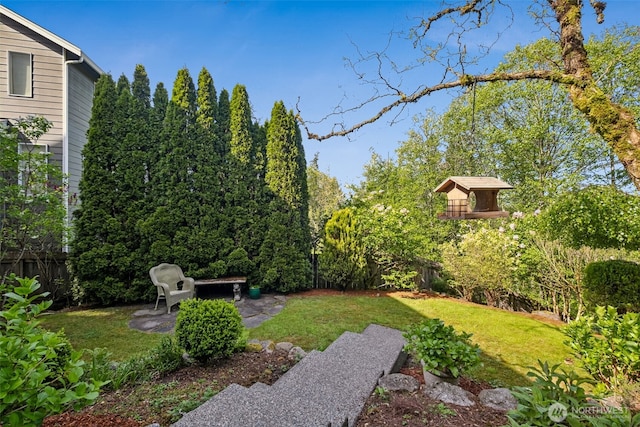 view of yard featuring a patio area and fence