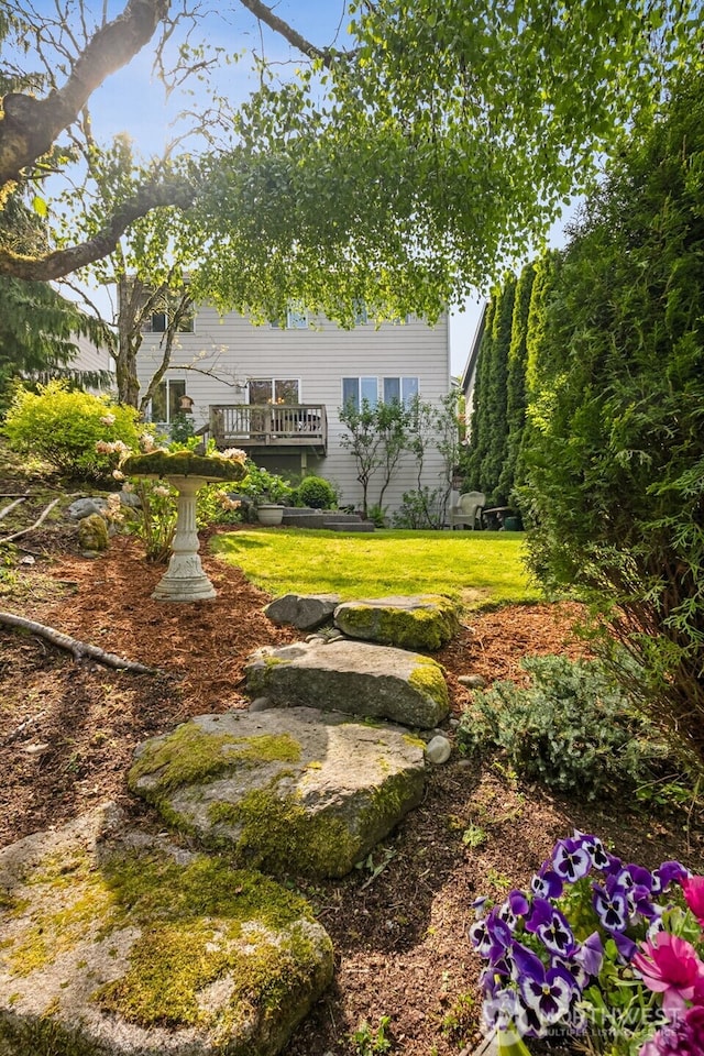 view of yard