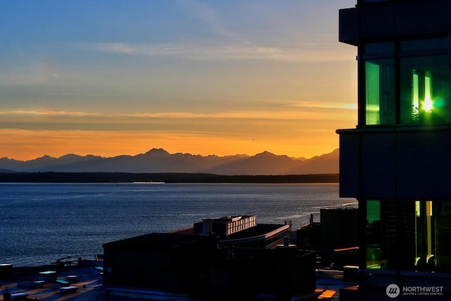 2021 1st Ave Unit F8, Seattle, WA 98121 - photo 22