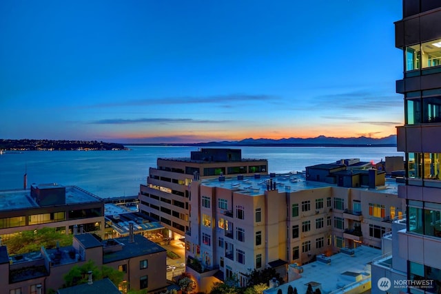 2021 1st Ave Unit F8, Seattle, WA 98121 - photo 29