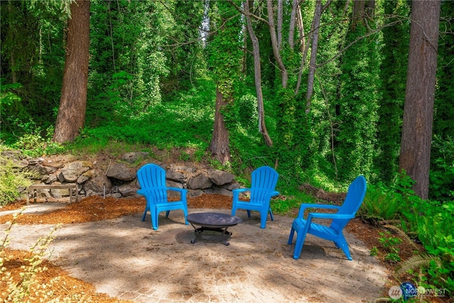 view of yard with an outdoor fire pit, a patio, and a view of trees