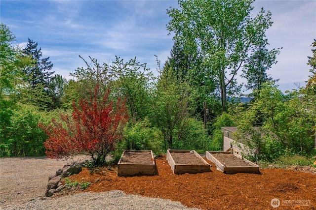 view of yard featuring a garden