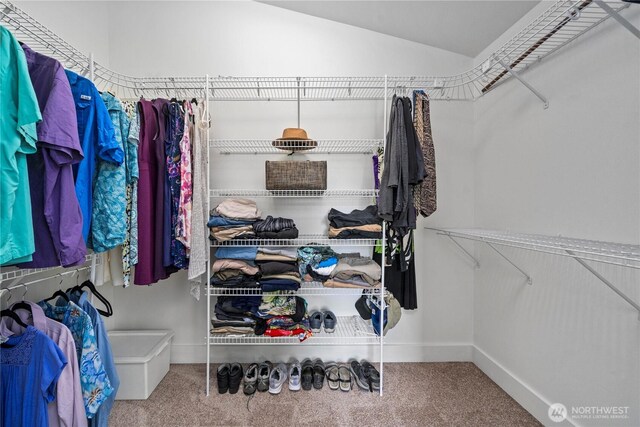 walk in closet featuring carpet and lofted ceiling