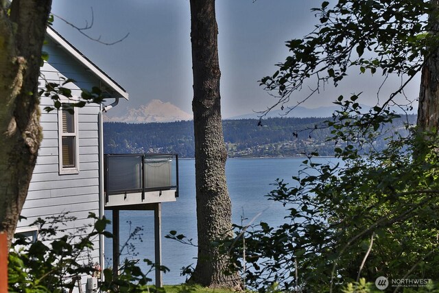 2367 Deer Brush Rd, Greenbank, WA 98253 - photo 28