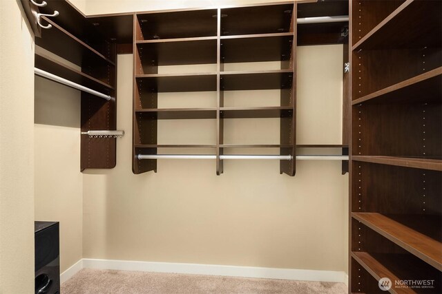 walk in closet featuring carpet flooring