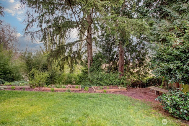 view of yard with a garden