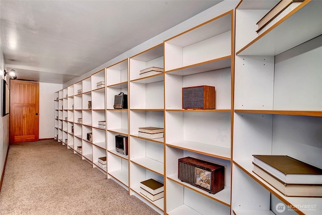 view of storage room