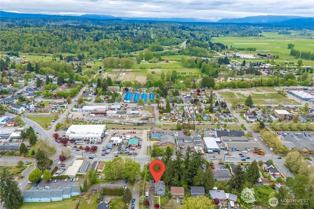 429 Cedar Ave, Snohomish, WA 98290 - photo 38