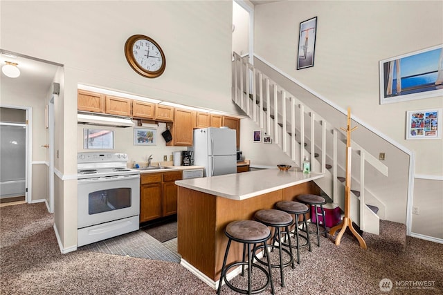 kitchen with white appliances, under cabinet range hood, a sink, and carpet floors