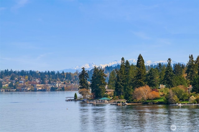 3602 Evergreen Point Rd, Medina, WA 98039 - property view of water