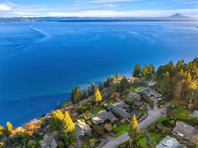 10837 Bill Point Blf NE, Bainbridge Island, WA 98110 - birds eye view of property with a water and mountain view and a residential view