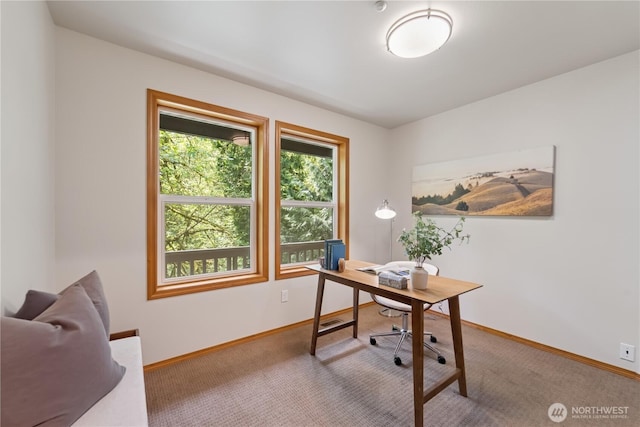 29729 NE 178th Pl, Duvall, WA 98019 - photo 18